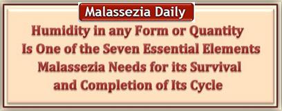 Malassezia and Humidity txt